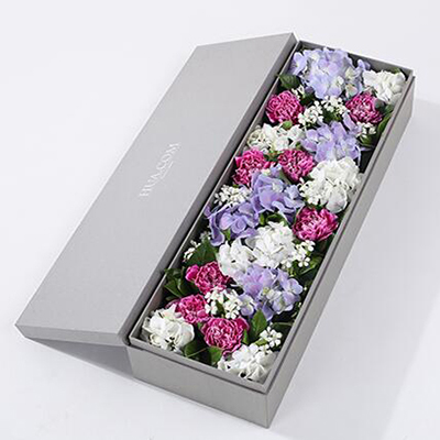 紫色白邊康乃馨8枝、白繡球1枝、藍紫色繡球1枝